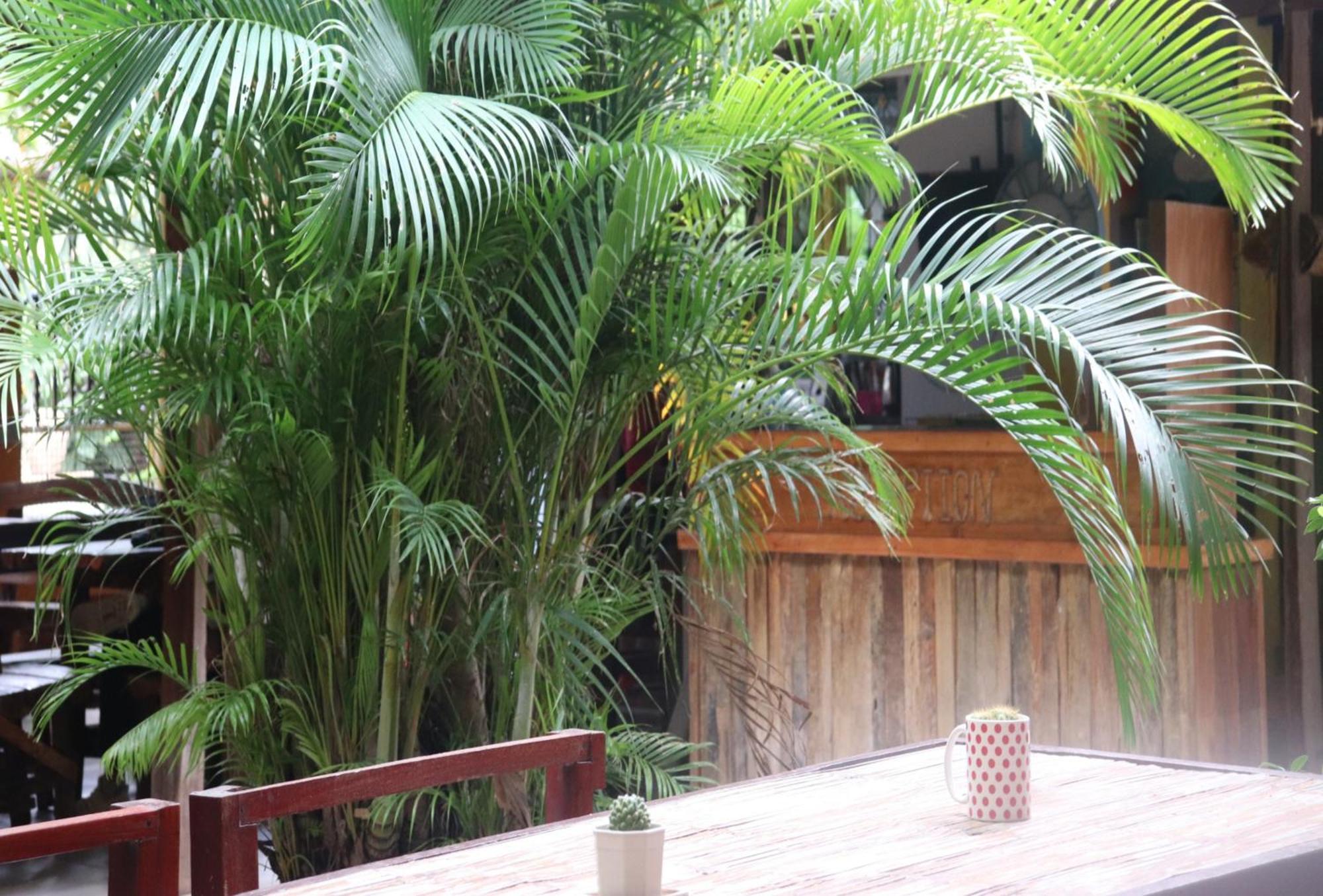 Trekker Camp Otel Chiang Mai Dış mekan fotoğraf