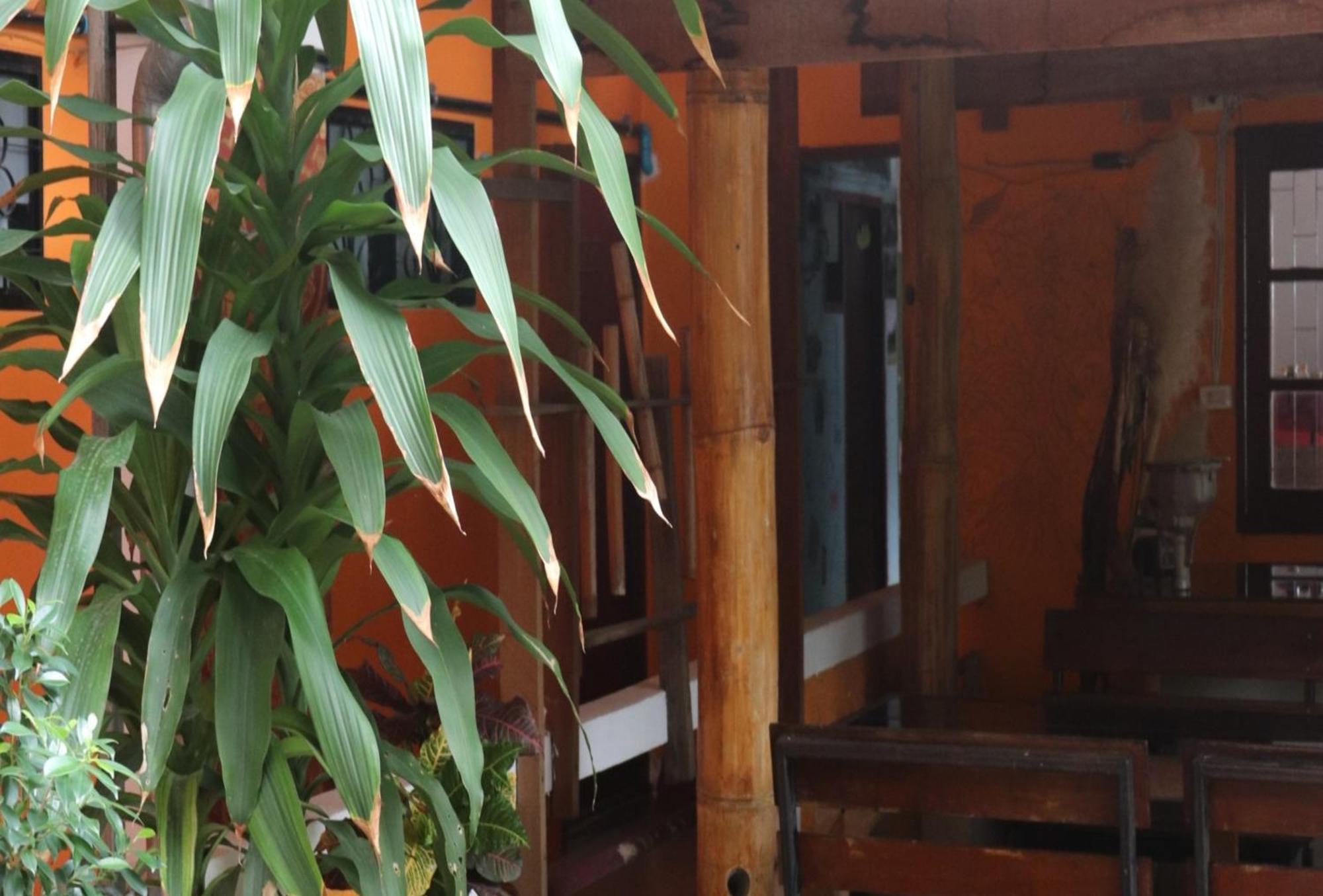Trekker Camp Otel Chiang Mai Dış mekan fotoğraf